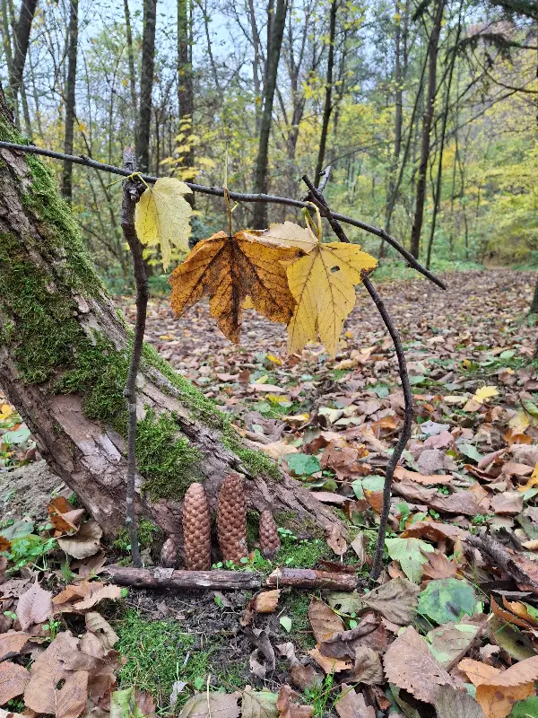 Podzim